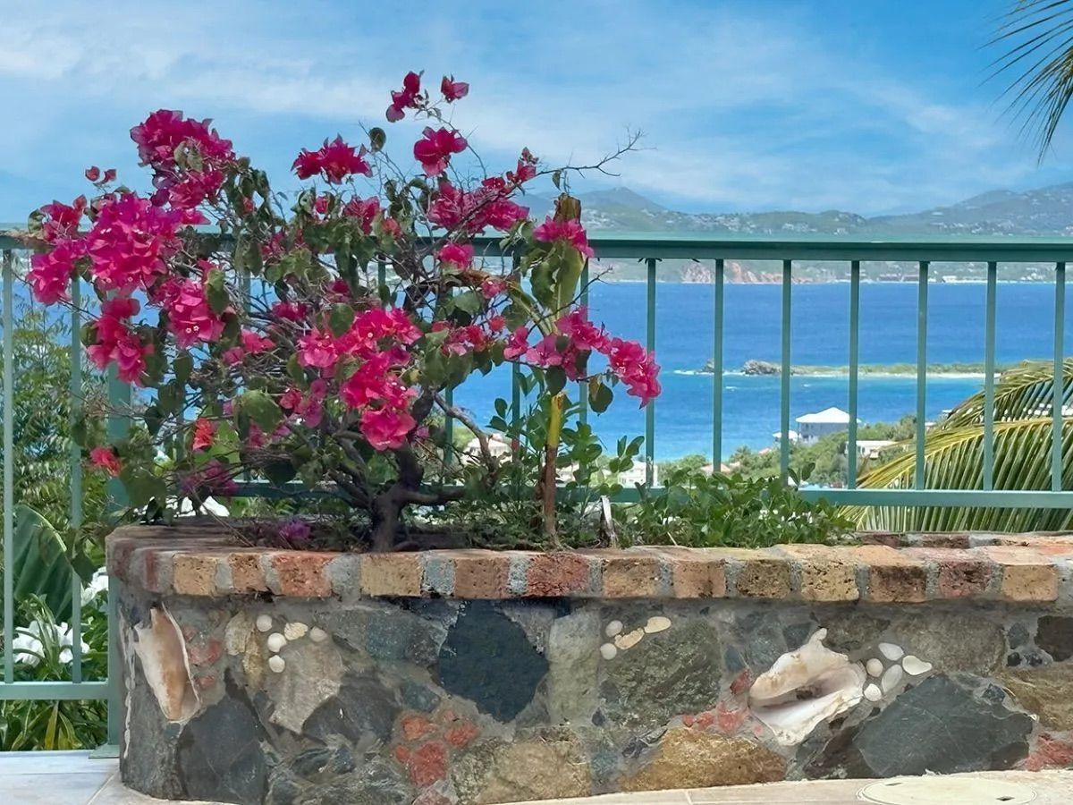 Exotic View Villa villa photo.