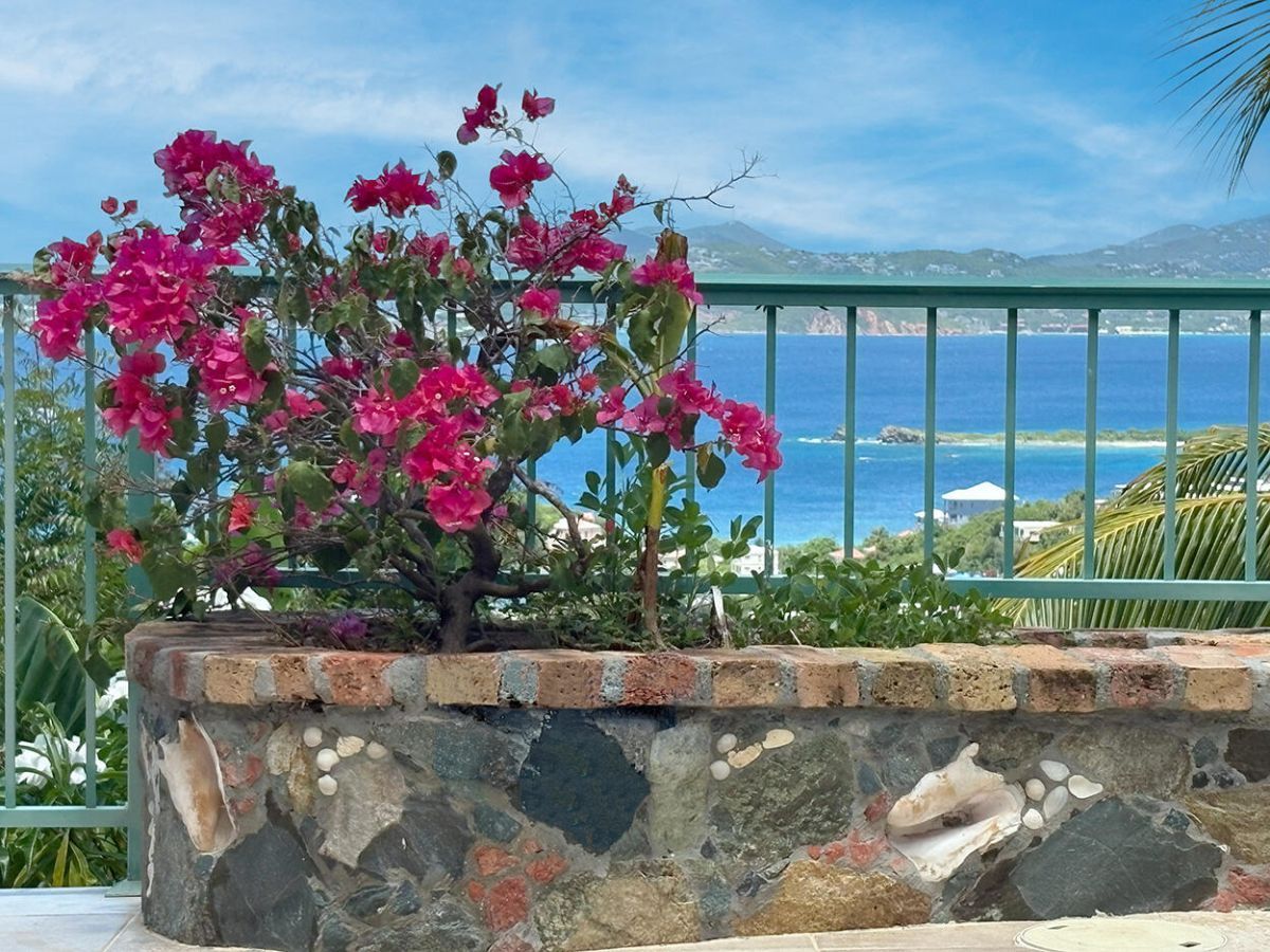 Exotic View Villa villa photo.