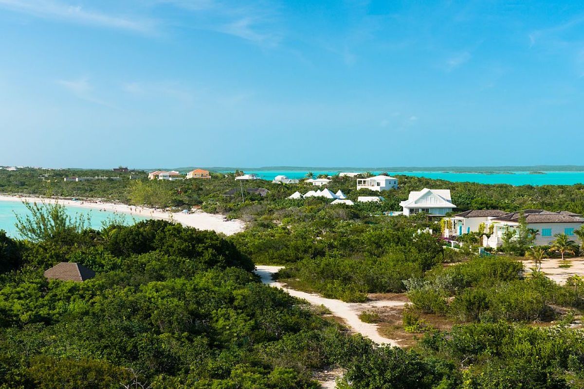 Aerial view of the path to Taylor Bay Beach