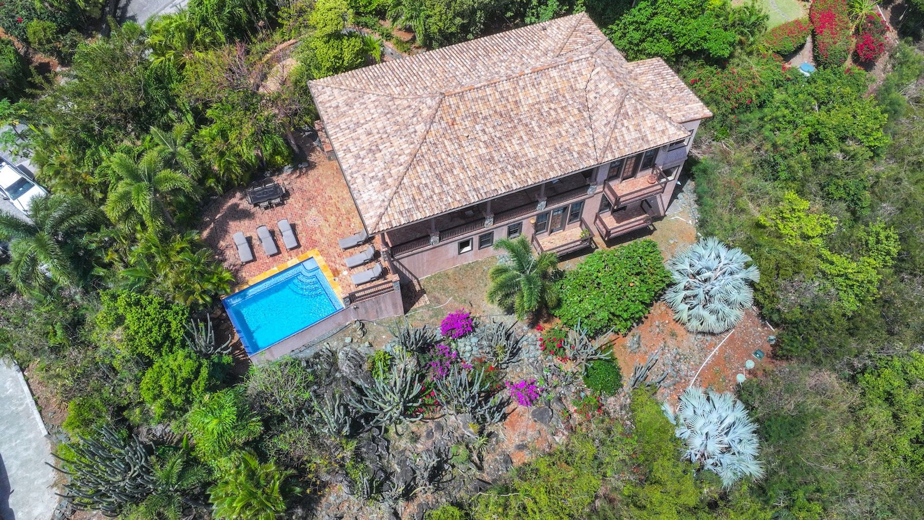 Caribbean Palm Villa villa photo.