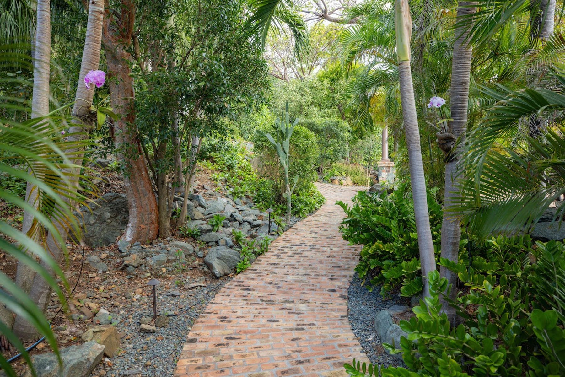Caribbean Palm Villa villa photo.