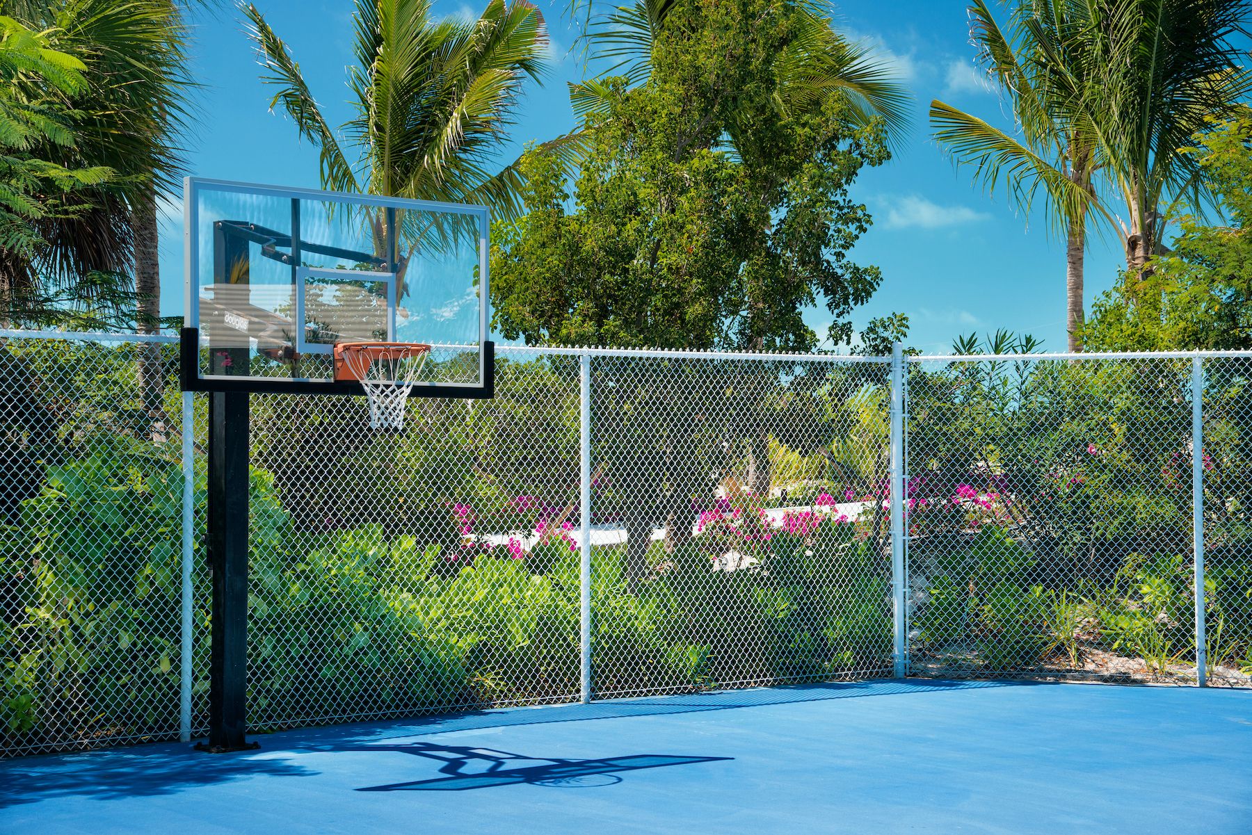 Basketball Court