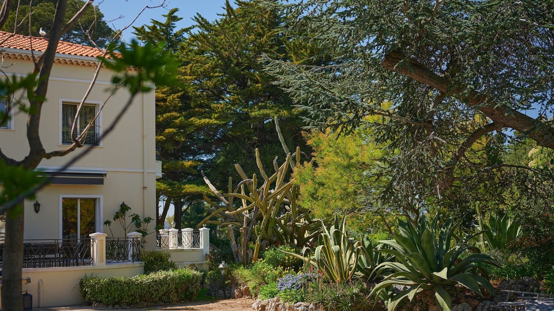 Villa Antibes villa photo.