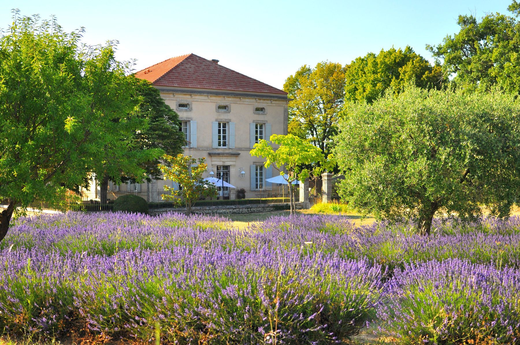 Le Petit Manoir villa photo.
